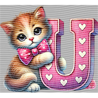 Valentine's Day-QRJ  2760